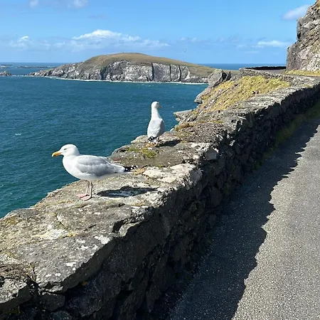 Bed & Breakfast Murphy's 3*