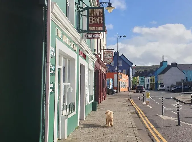Murphy's Dingle
