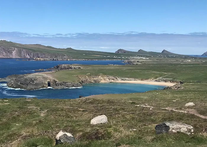 Oda ve Kahvaltı Murphy's