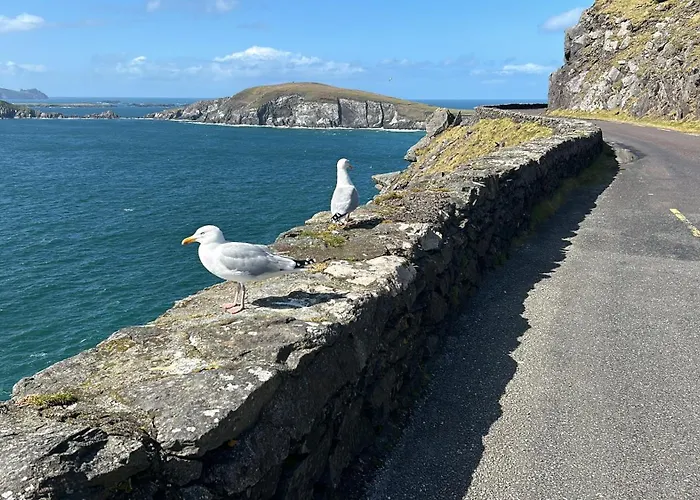 Oda ve Kahvaltı Murphy's 3*